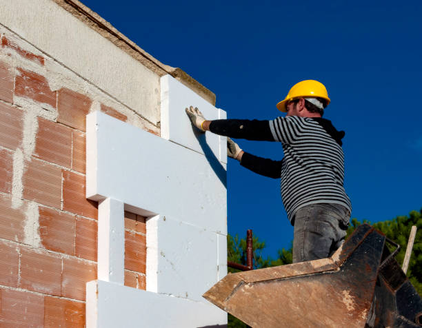 Best Commercial Insulation in Bensley, VA