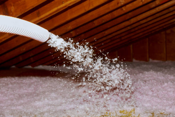 Best Fiberglass Insulation in Bensley, VA