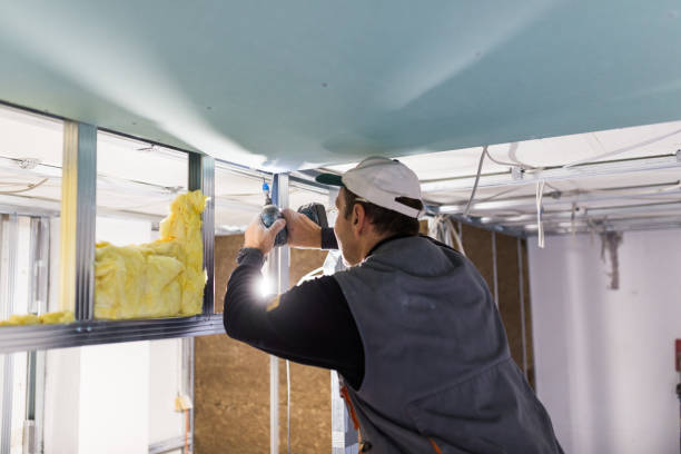 Best Eco-Friendly Insulation in Bensley, VA