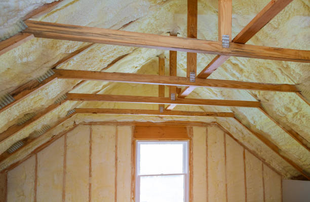 Best DIY Insulation Kits and Guidance in Bensley, VA