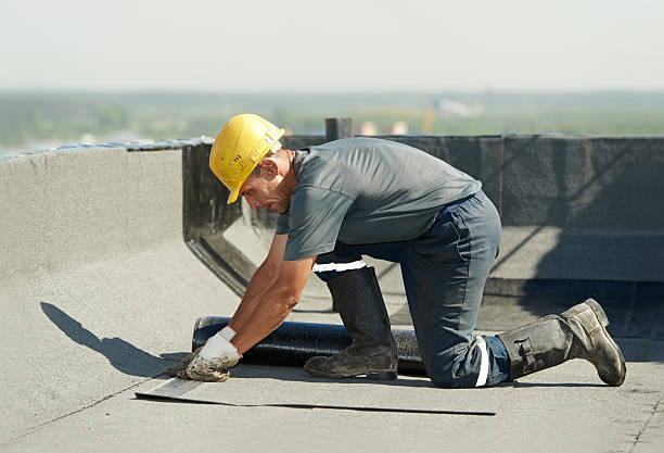 Professional Insulation Contractor in Bensley, VA