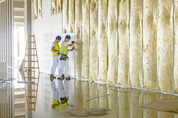 Best Insulation Maintenance and Repair in Bensley, VA